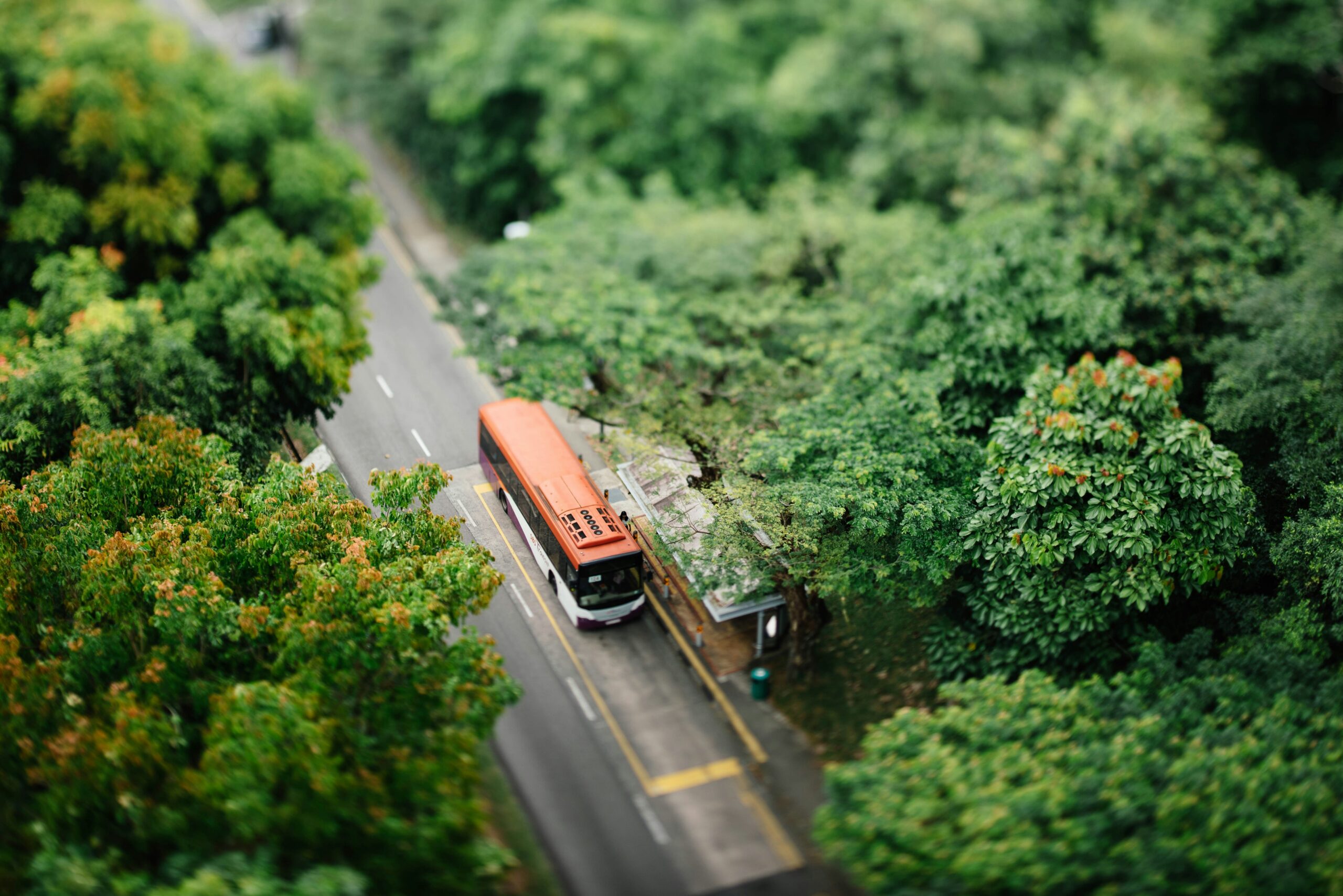 chuttersnap-CEubYUySRo4-unsplash